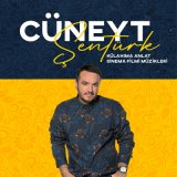 Песня Cüneyt Şentürk - Nerdesin