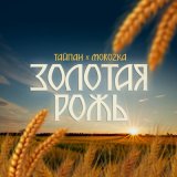 Песня Тайпан, MorozKA - Золотая рожь