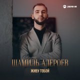 Песня Шамиль Алероев - Живу тобой