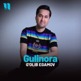 Песня G'olib Egamov - Gulinora