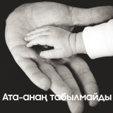 Песня Берік Құтпанбай - Ата-анаң табылмайды