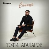 Песня Тофиг Агаларов - Синица