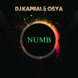 Песня Dj Kapral, Osya - Numb