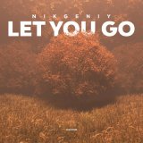 Песня Nikgeniy - Let You Go