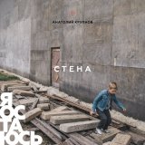 Песня Анатолий Крупнов - Стена