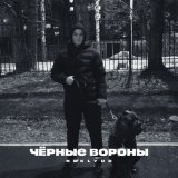 Песня NEKLYUD - Чёрные вороны