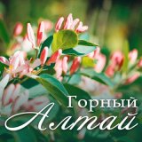 Песня Эскулап - Горный Алтай