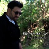 Песня Ercan Aslan - Mor Sümbüller