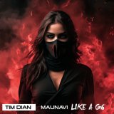 Песня Tim Dian, Maunavi - Like a G6