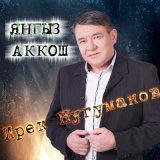 Песня Ирек Нугуманов - Янгыз Аккош (DBG Project Remix)