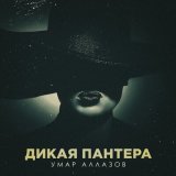 Песня Умар Аллазов - Дикая пантера