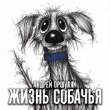 Песня Андрей Оршуляк - Память