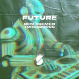 Песня Cem Egemen & Toreadorss - Future