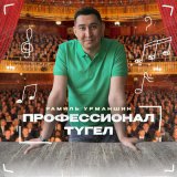 Песня Рамиль Урманшин - Профессионал түгел