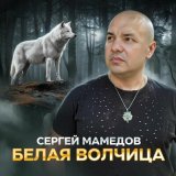 Песня Сергей Мамедов - Белая волчица