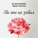 Песня Естьже - Не хочу тебя забыть