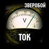 Песня Зверобой - За весной