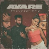 Песня Erdal Saraçoğlu & Berna Kanberoğlu - Avare