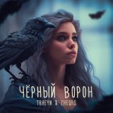 Песня TAHEYN, Zheqas - Черный ворон