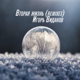 Песня Игорь Виданов - Вторая жизнь (Remixes)