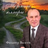 Песня Физанур Валеев - Тормыш юллары (Баян)