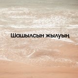 Песня Сабыржан Адиұлы - Шашылсын жылуың