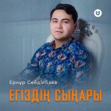 Песня Ернұр Сейдінбаев - Егіздің сыңары