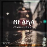 Песня Белка - Стальные киты