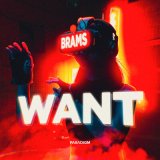 Песня Brams - Want