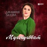 Песня Джамиля Залова - Муьгьуьббат