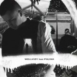 Песня WELLVIZY, Polyak - Сотру