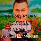 Песня Анатолий Шаманаев - Вьюга