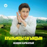 Песня Жандос Қаржаубай - Ауылымды сағындым