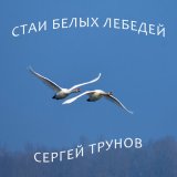 Песня Сергей Трунов - Стаи белых лебедей