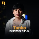 Песня Muhammad Ahmad - Tanho