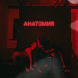 Песня FreeRiders - Анатомия (Acoustic Version)