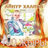 Песня Айнур Халиев - Туй җыры