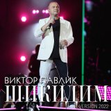 Песня Віктор Павлік - Шикидим (Version 2022)