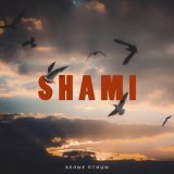 Песня SHAMI - Мы не ожидали сколько мили миллионов бедных лиц