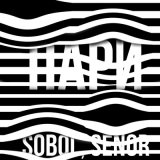 Песня SOBOL, Senor - Пари