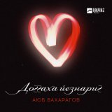 Песня Аюб Вахарагов - Доггаха йезнариг