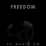 Песня SK Music ZM - Freedom