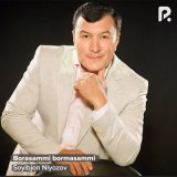 Песня Soyibjon Niyozov - Borasammi bormasammi