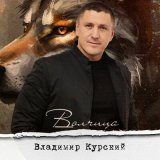 Песня Владимир Курский - Бродяга ветер