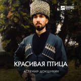 Песня Астемир Докшукин - Красивая птица