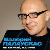 Песня Валерий Палаускас - Осенний ветер