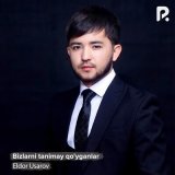 Песня Элдор Усаров - Bizlarni tanimay qo'yganlar