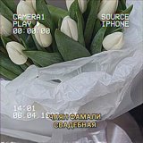 Песня Чаян Фамали - Свадебная