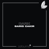 Песня Barış Çakır - Dark