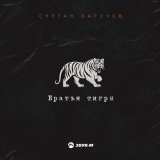 Песня Султан Лагучев - Братья тигры